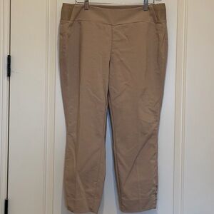 Investments Ankle-Length Beige Pants